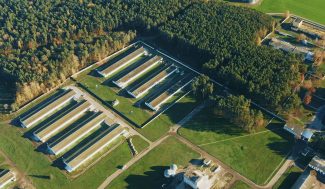 Aerial View Modern chicken farm, barns, Sheds. Bird's-eye View In Sunny Rural Landscape .Aerial View Modern chicken farm, barns, Sheds. Bird's-eye View In Sunny Rural Landscape .